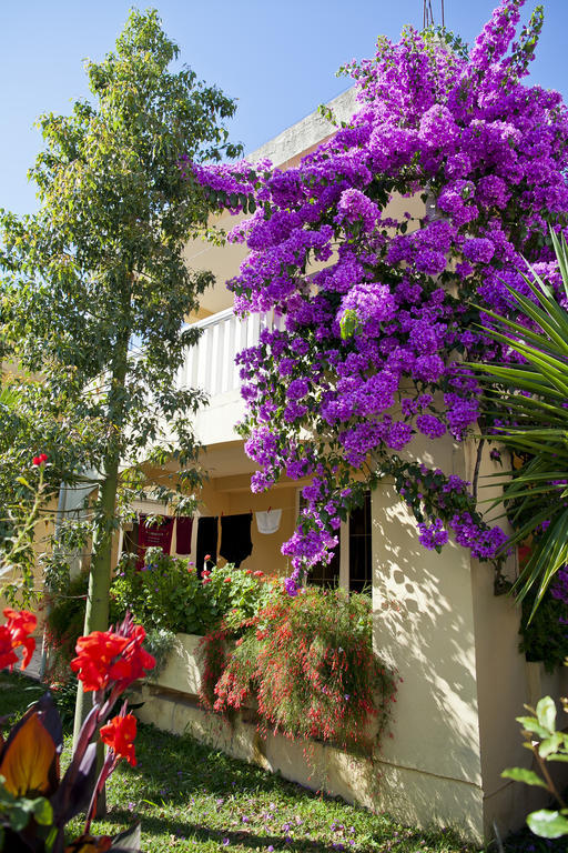 Apartments Angela Budva Exterior foto